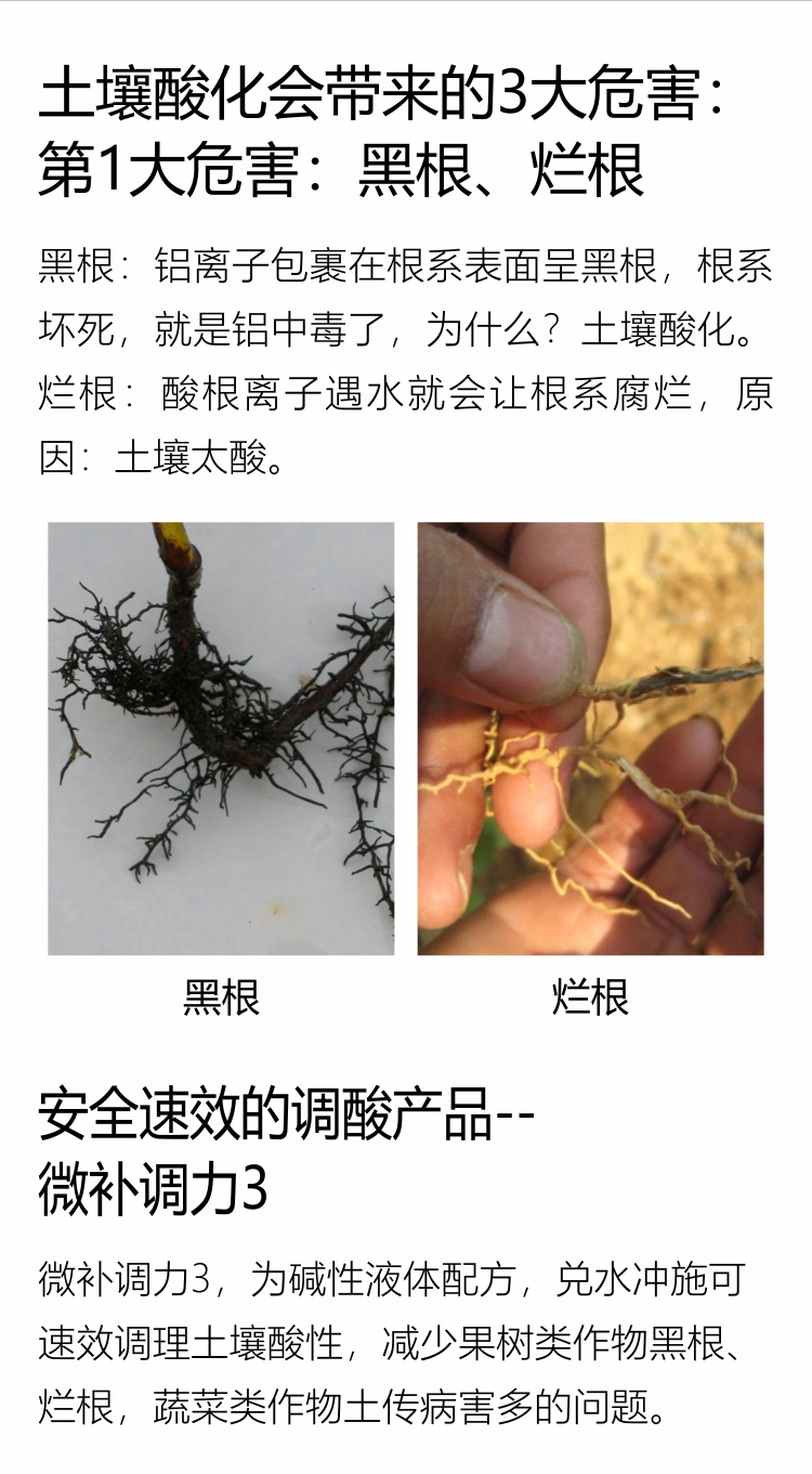 微補調力34_04.jpg