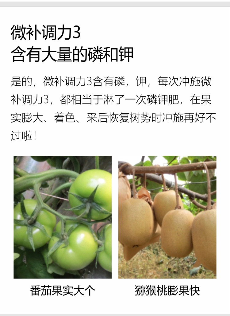 微補調力34_07.jpg