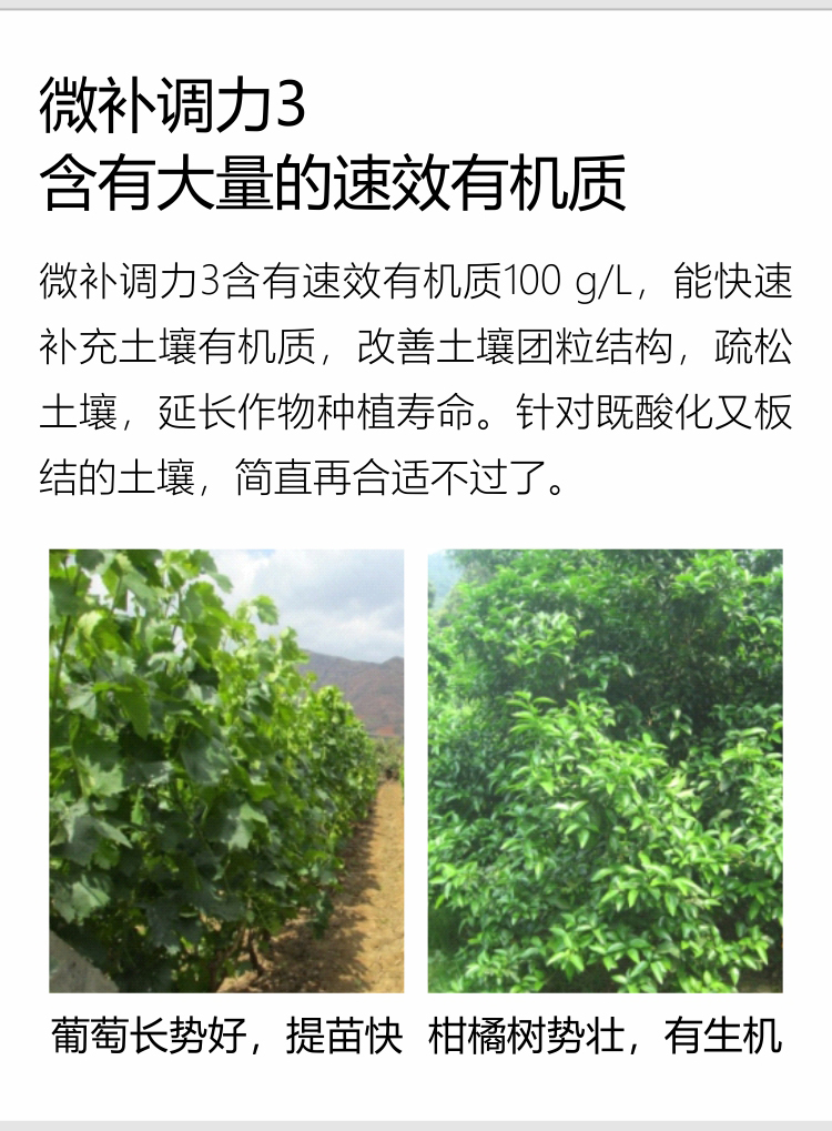 微補調力34_08.jpg