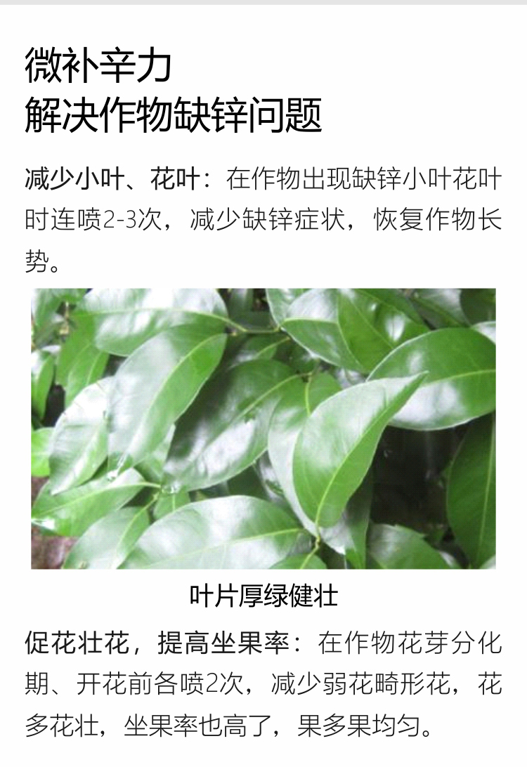 微補螯合鋅750_07.jpg
