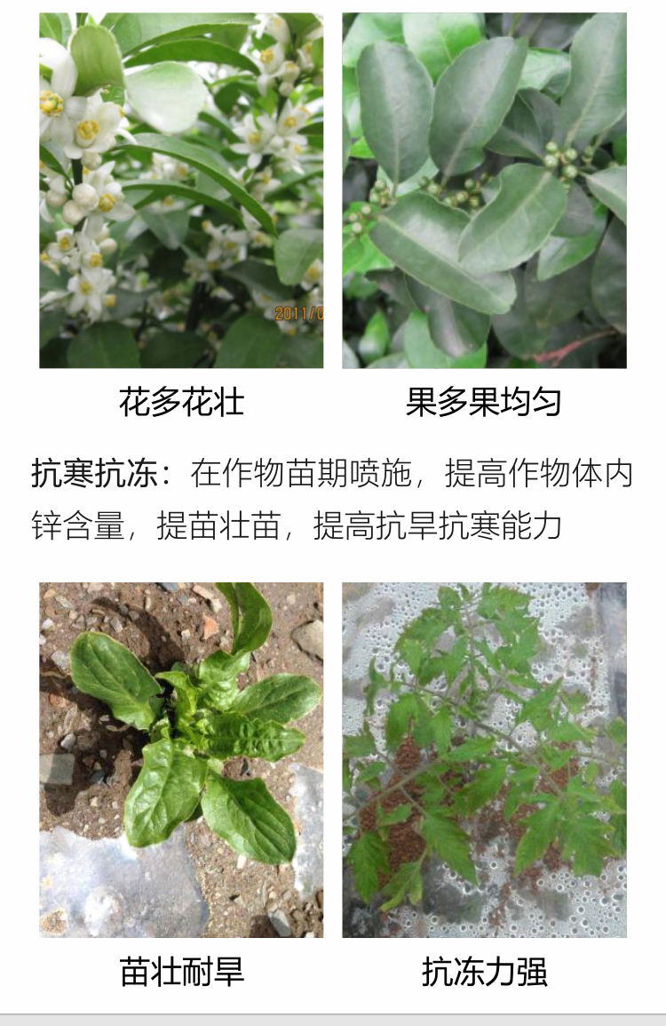 微補螯合鋅750_08.jpg