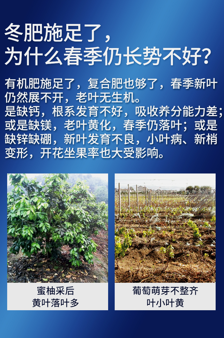 微補倍力_02.jpg