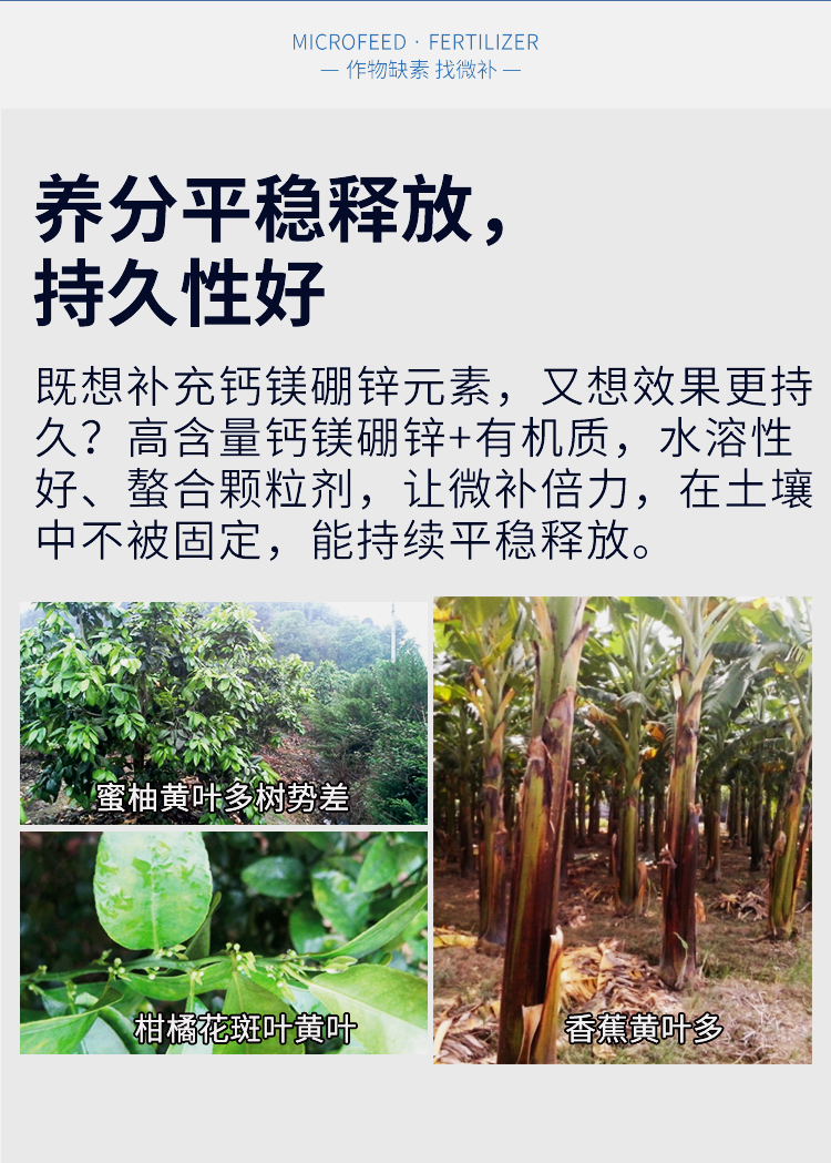 微補倍力_06.jpg