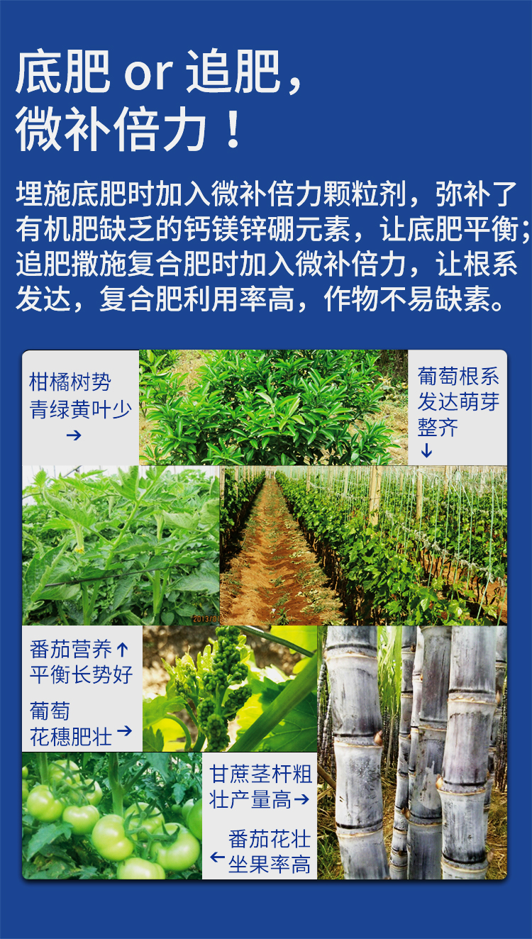 微補倍力_07.jpg