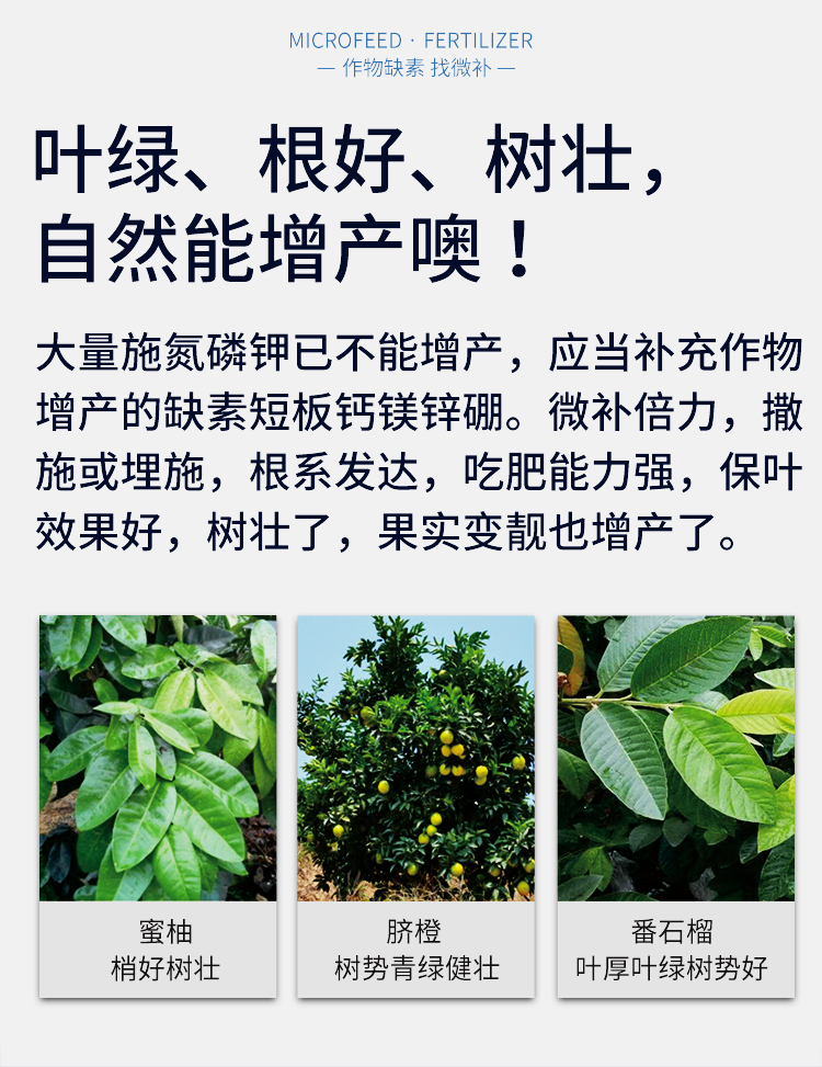 微補倍力_08.jpg