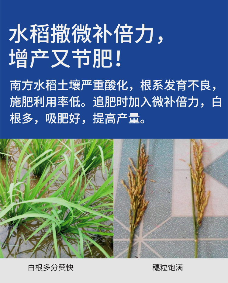 微補倍力_09.jpg