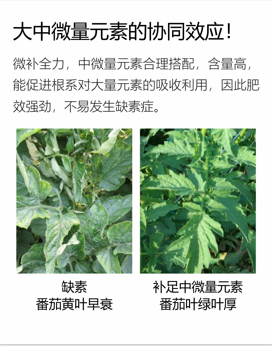 微補全力-（官網(wǎng)）750_03.jpg