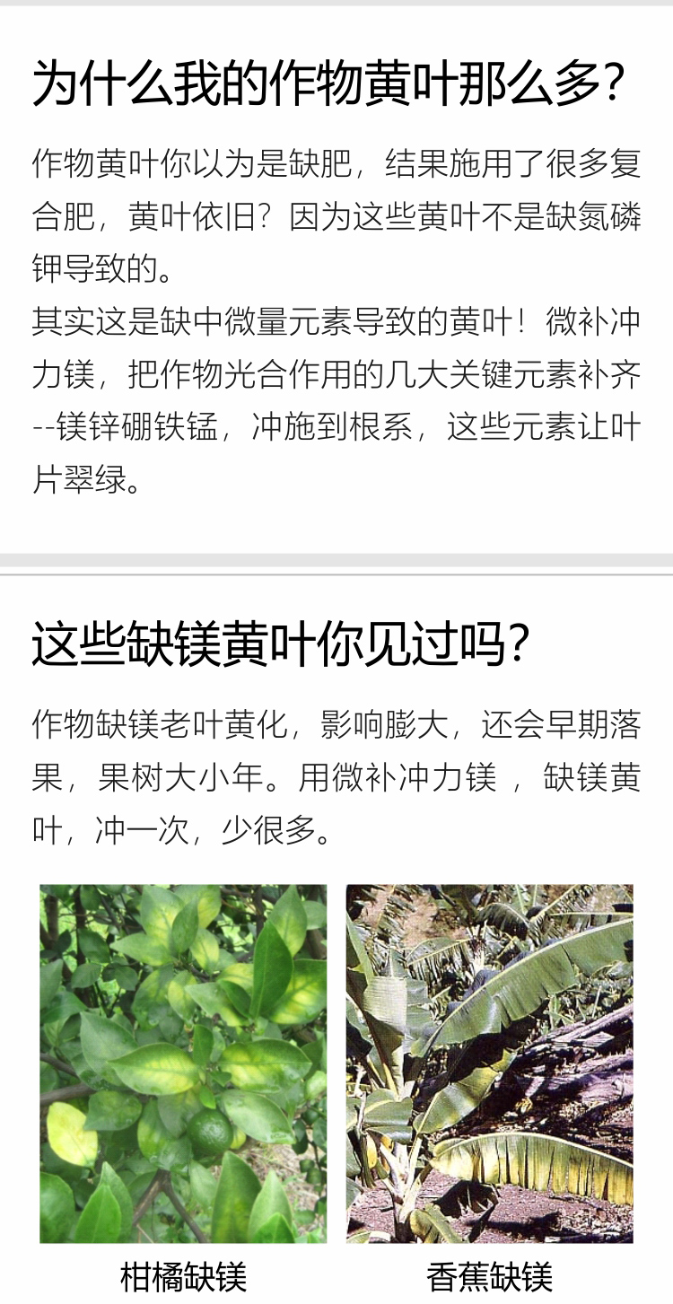 微補沖力鎂750_02.jpg