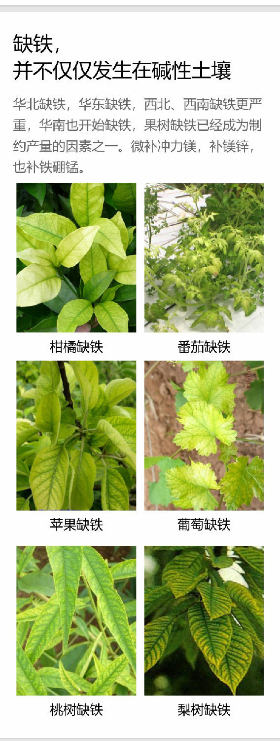 微補沖力鎂750_05.jpg