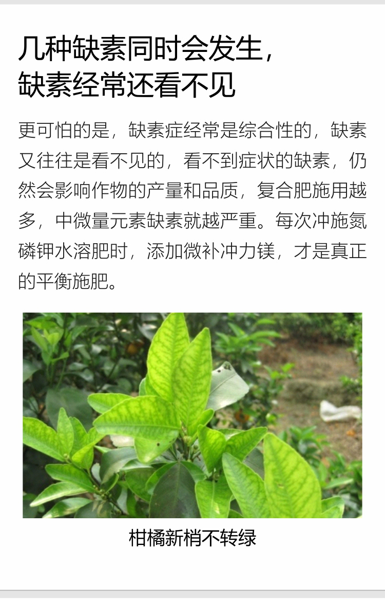 微補沖力鎂750_06.jpg
