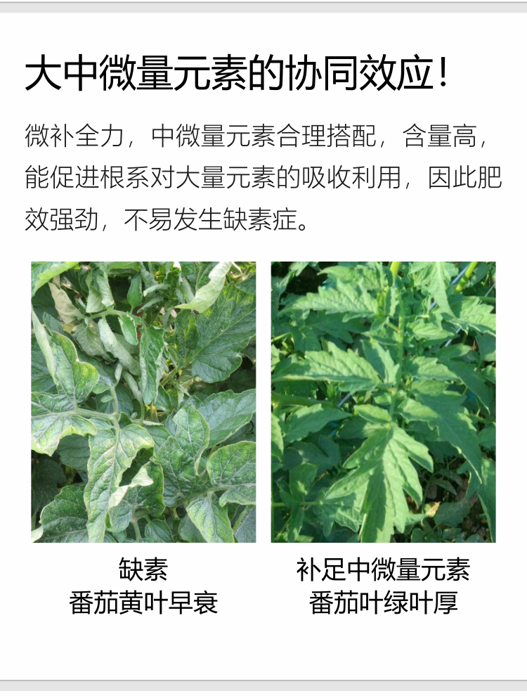 微補全力-（官網(wǎng)）750_03.jpg