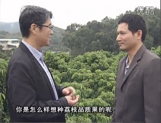 20160104珠江臺搖錢(qián)樹(shù)：補充所需微補營(yíng)養，種出品質(zhì)荔枝，提高收益賣(mài)價(jià)！