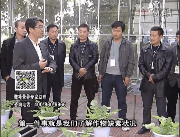 20160418珠江臺搖錢(qián)樹(shù)：和重慶種植業(yè)主走進(jìn)微補，探秘微補生產(chǎn)研發(fā)技術(shù)