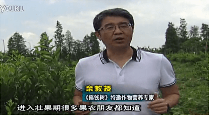 20160620珠江臺搖錢(qián)樹(shù)：柑橘淋微補調力、噴蓋力+壯力，調酸壯長(cháng)勢、膨果防裂好