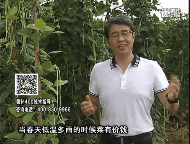 20160704珠江臺搖錢(qián)樹(shù)：蔬菜用微補方案，省肥藥又保產(chǎn)