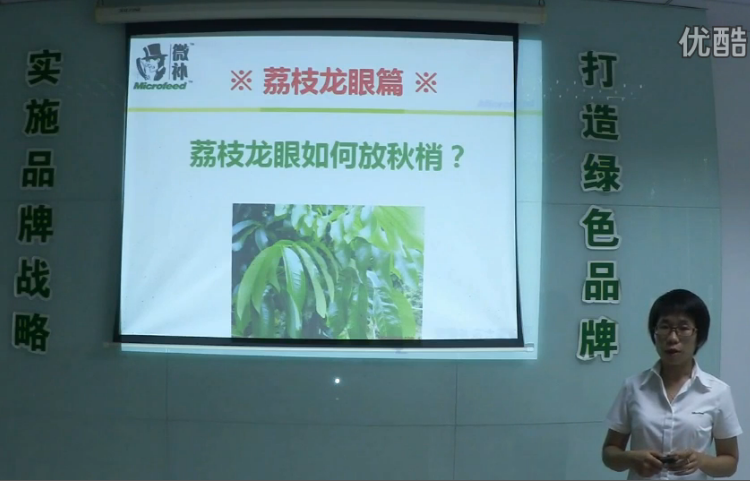 荔枝龍眼-采后樹(shù)弱、秋梢不壯怎么辦？請看微補講座