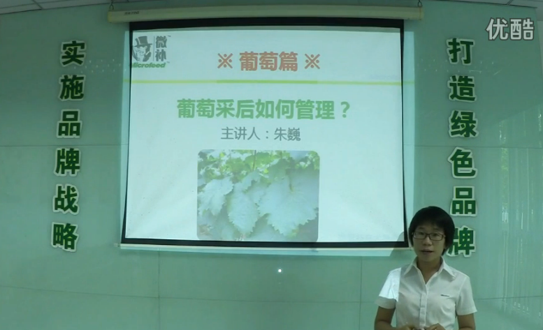葡萄-采后恢復樹(shù)勢、來(lái)年花芽分化好.微補講座