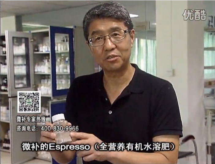 20160822珠江臺搖錢(qián)樹(shù)：柑橘秋梢淋沖因迪樂(lè )精華粉，補充有機營(yíng)養，健壯果樹(shù)