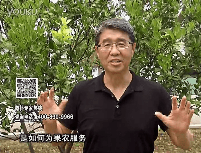 20160912珠江臺搖錢(qián)樹(shù)：針對果場(chǎng)面積、缺素營(yíng)養、設施管理、投入產(chǎn)出，微補做個(gè)性化定制服務(wù)