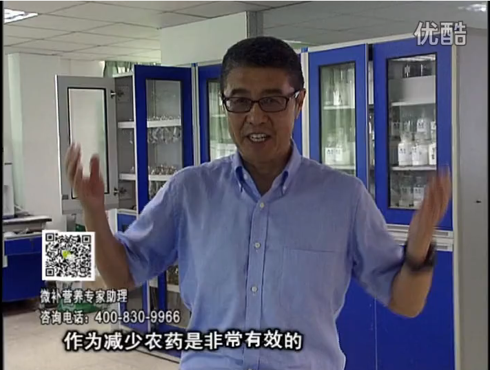 20161024珠江臺搖錢(qián)樹(shù)：種植作物調酸、平衡營(yíng)養、提高抗病力能大大降低病害發(fā)生和農藥使用量