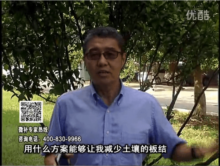 20161031珠江臺搖錢(qián)樹(shù)：減少化肥使用量、土壤少板結有辦法